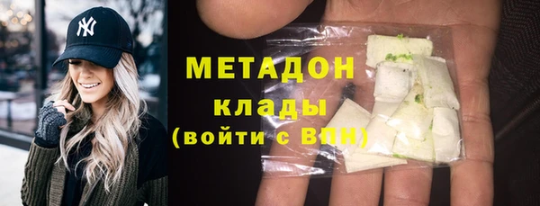 индика Арсеньев