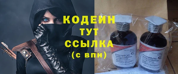 индика Арсеньев