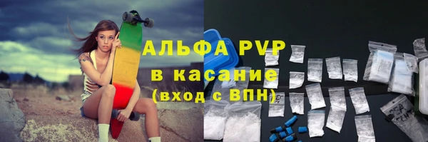 индика Арсеньев