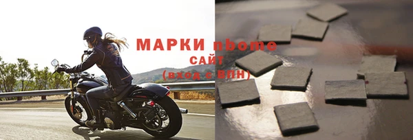 индика Арсеньев