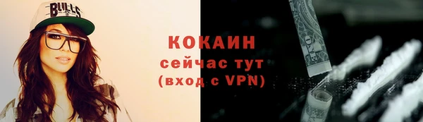 индика Арсеньев
