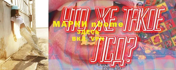 индика Арсеньев