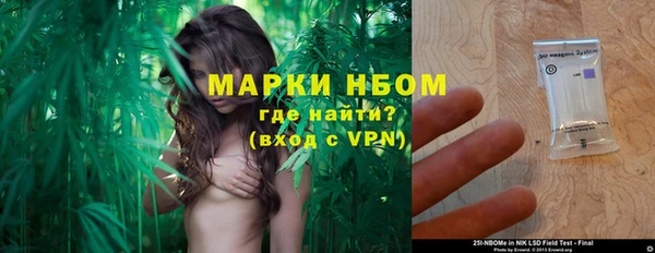 индика Арсеньев